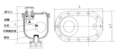����lewin-�������CARV����ʽ�������ṹͼ
